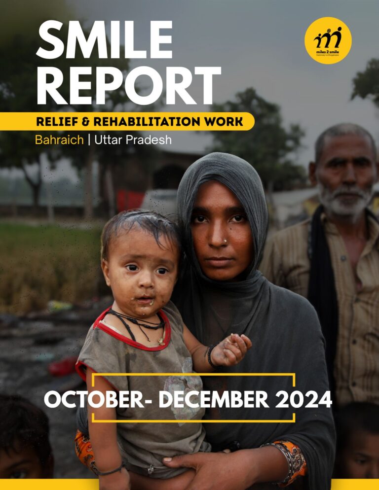 Report 13 cover